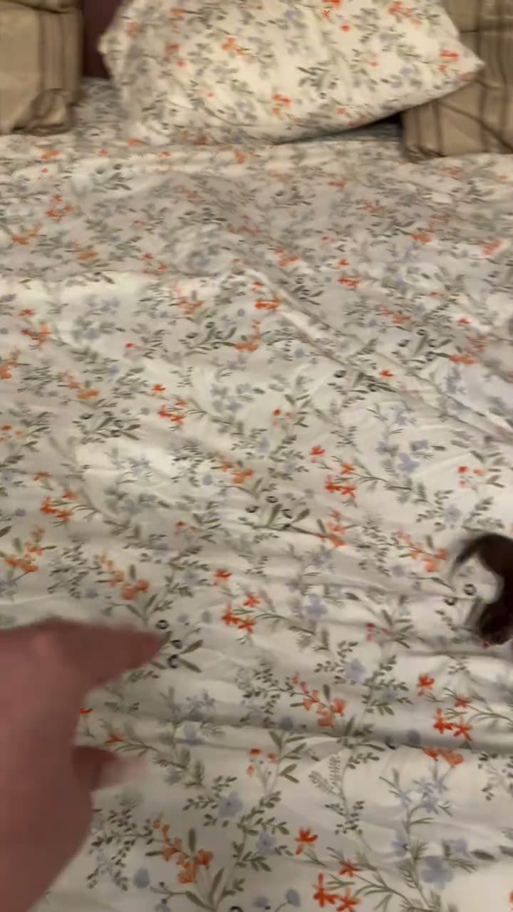 frame at 0:05-0:10